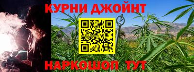 сатива Бузулук