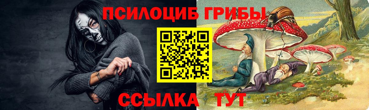 Новошахтинск  Псилоцибиновые грибы MAGIC MUSHROOMS  Псилоцибиновые грибы ЛСД  Вход с VPN 